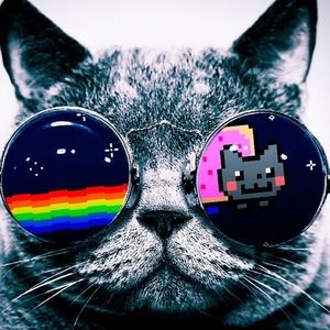 Meet your Posher, Ally